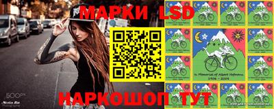 гашик Гусь-Хрустальный
