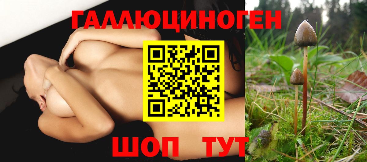 Псилоцибиновые грибы Magic Shrooms  где купить наркотик  Мценск  Вход с VPN 